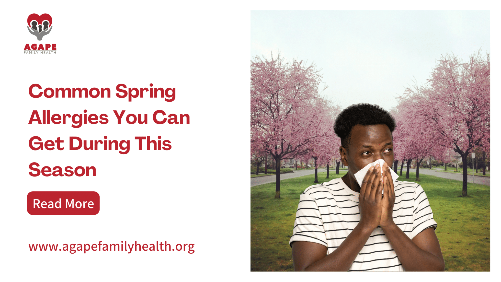 common spring allergies blog