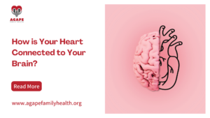 heart and brain connection - blog banner